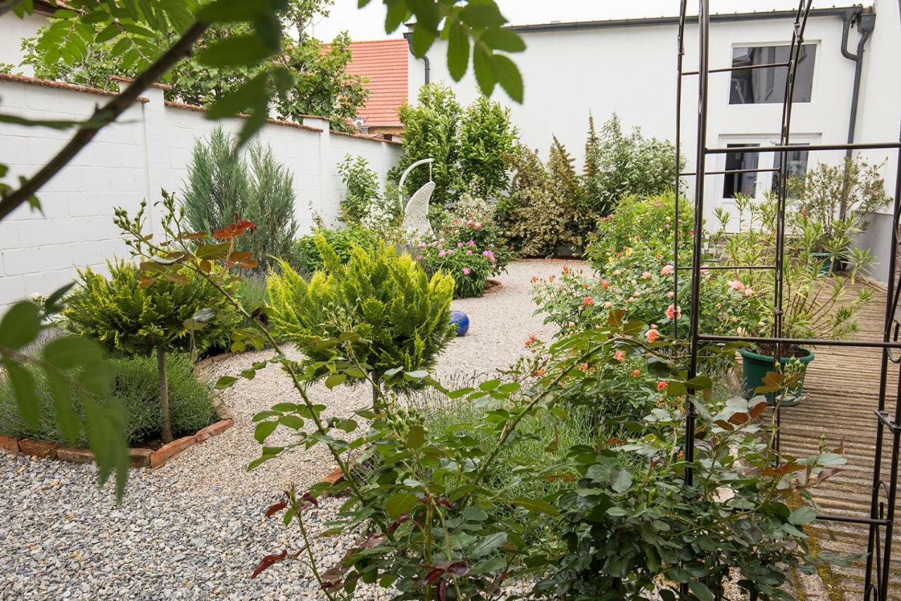 Weingut Gsellmann - Wohnen Bei Ilse Apartment Gols Exterior photo